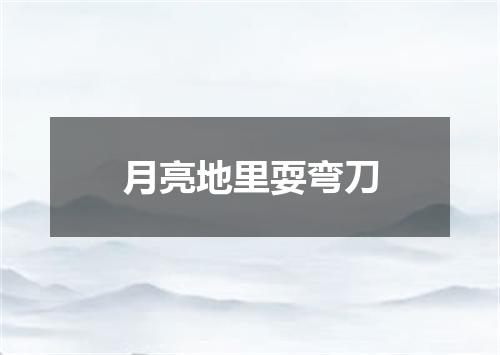 月亮地里耍弯刀