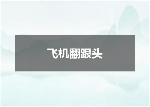 飞机翻跟头