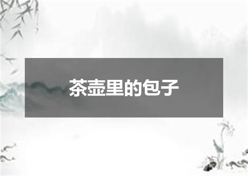 茶壶里的包子