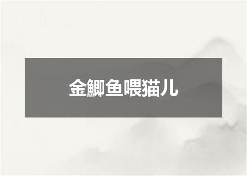 金鯽鱼喂猫儿