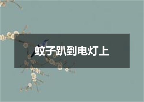 蚊子趴到电灯上