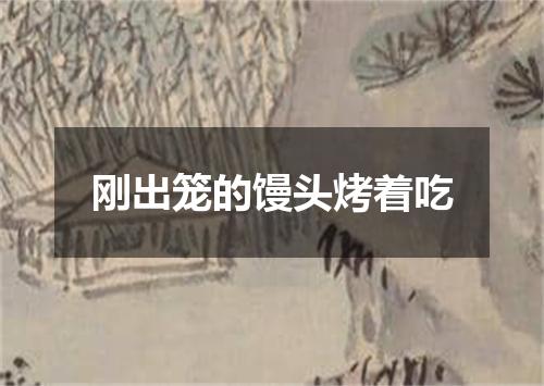 刚出笼的馒头烤着吃