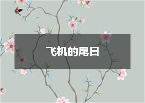 飞机的尾日