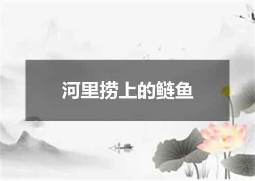 河里捞上的鲢鱼
