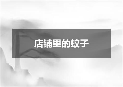 店铺里的蚊子