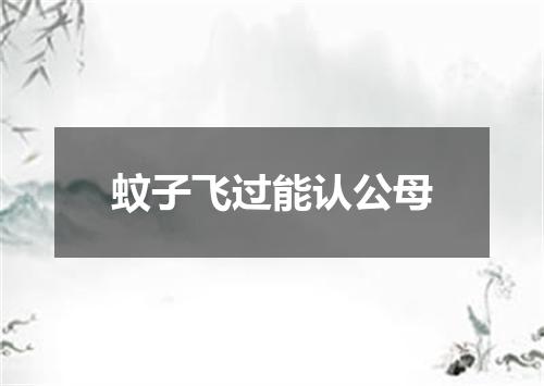 蚊子飞过能认公母
