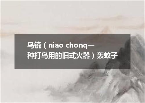 鸟铳（niao chonq一种打鸟用的旧式火器）轰蚊子