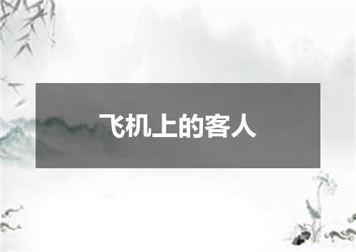 飞机上的客人