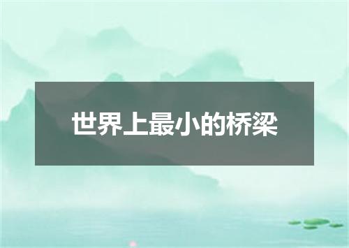 世界上最小的桥梁