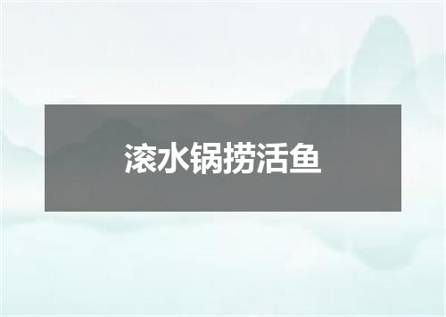 滚水锅捞活鱼