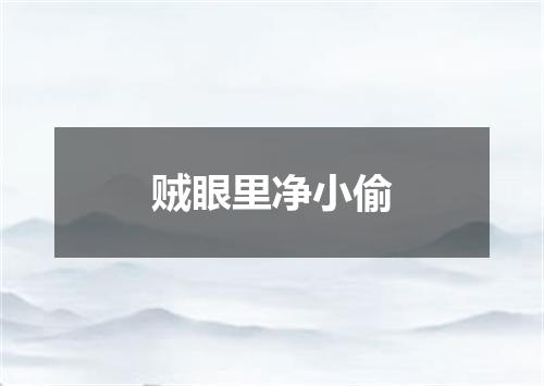 贼眼里净小偷