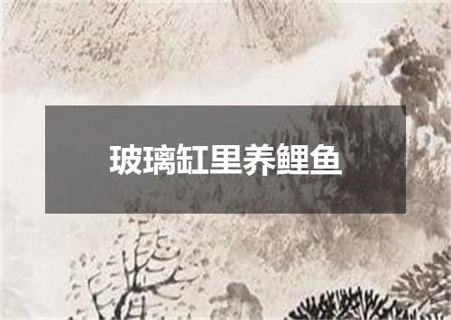 玻璃缸里养鲤鱼