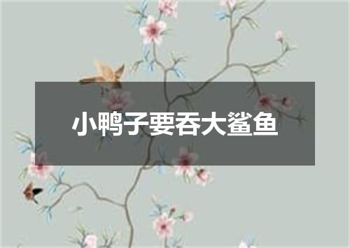 小鸭子要吞大鲨鱼