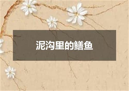 泥沟里的鳝鱼
