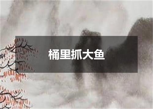 桶里抓大鱼
