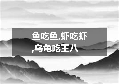 鱼吃鱼,虾吃虾,乌龟吃王八