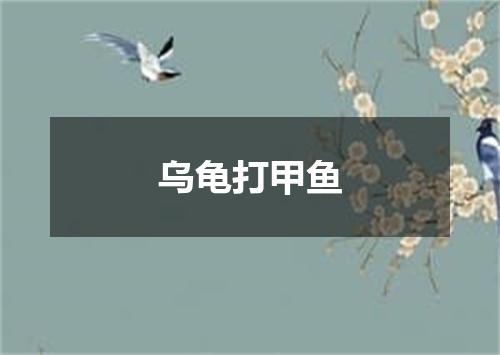 乌龟打甲鱼