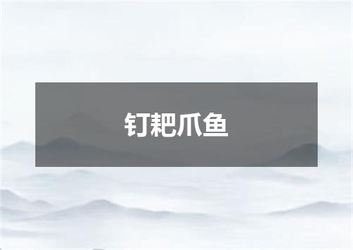 钉耙爪鱼