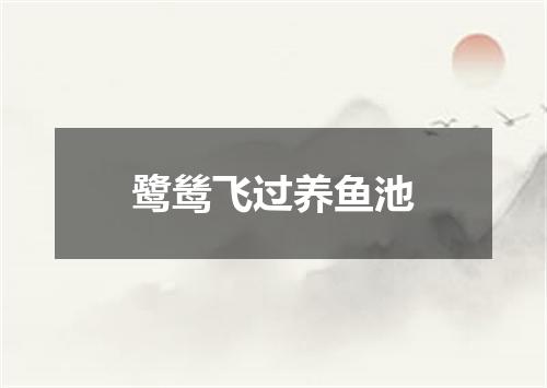 鹭鸶飞过养鱼池