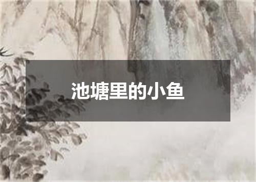 池塘里的小鱼