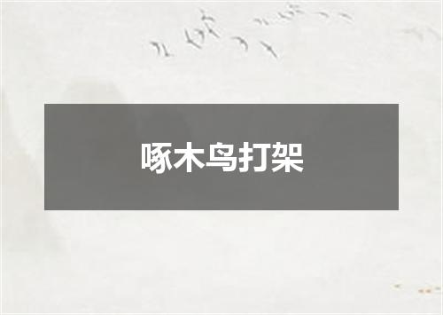 啄木鸟打架