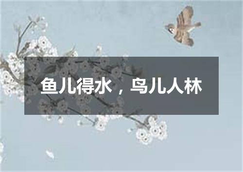 鱼儿得水，鸟儿人林