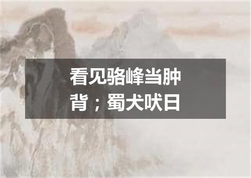 看见骆峰当肿背；蜀犬吠日