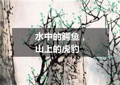 水中的鳄鱼，山上的虎豹