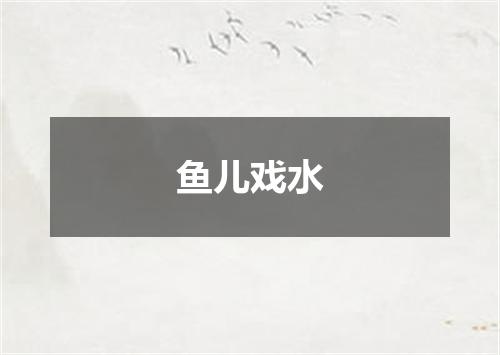 鱼儿戏水