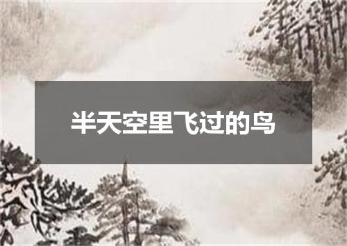 半天空里飞过的鸟