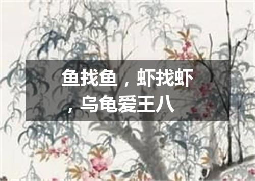 鱼找鱼，虾找虾，乌龟爱王八