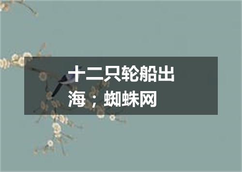 十二只轮船出海；蜘蛛网