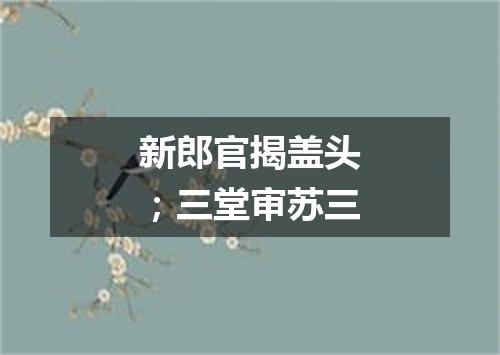 新郎官揭盖头；三堂审苏三