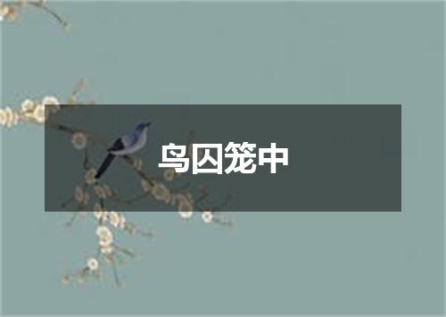 鸟囚笼中