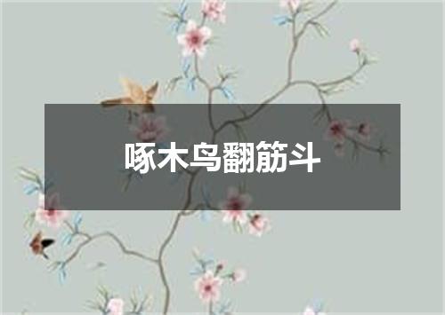 啄木鸟翻筋斗