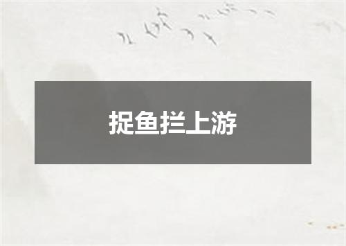 捉鱼拦上游