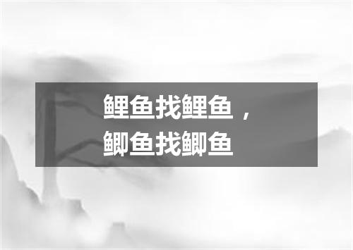 鲤鱼找鲤鱼，鲫鱼找鲫鱼