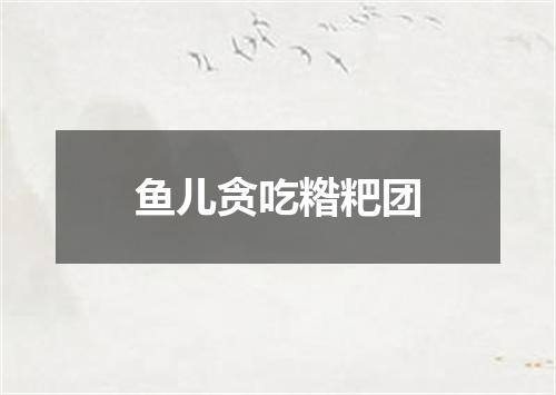 鱼儿贪吃糌粑团