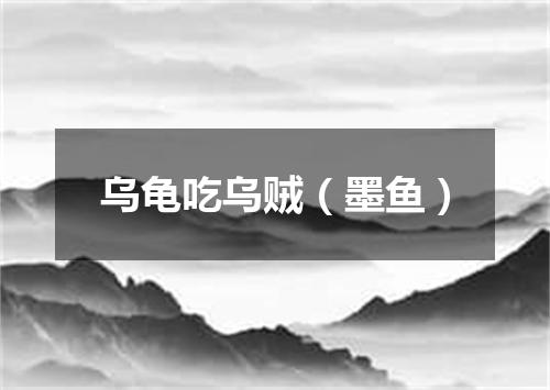 乌龟吃乌贼（墨鱼）