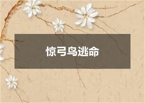 惊弓鸟逃命