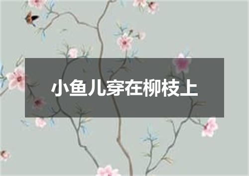 小鱼儿穿在柳枝上