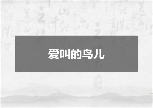 爱叫的鸟儿
