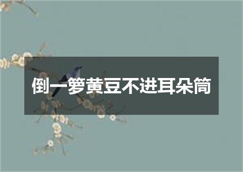 倒一箩黄豆不进耳朵筒