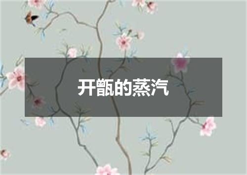 开甑的蒸汽