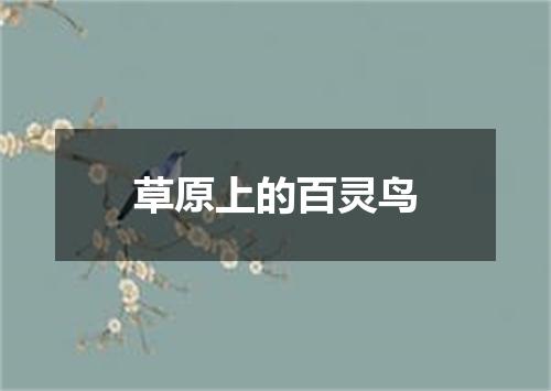 草原上的百灵鸟