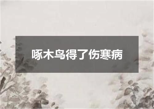 啄木鸟得了伤寒病