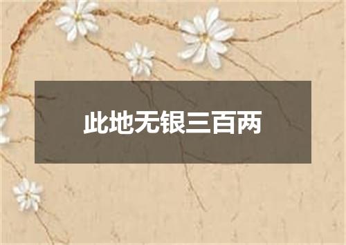 此地无银三百两