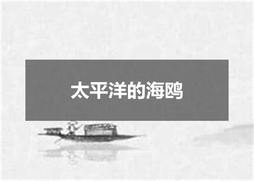 太平洋的海鸥