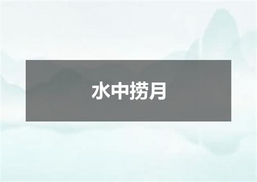 水中捞月