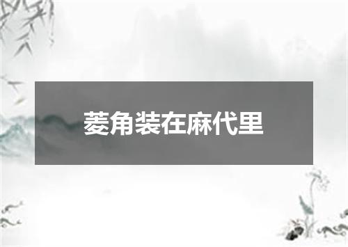 菱角装在麻代里